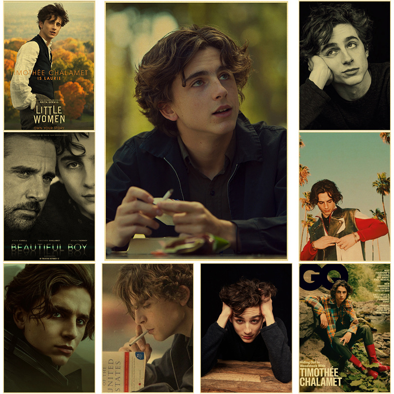 Home Bar And Theater - Timothee Chalamet 레트로 캔버스 회화 포스터