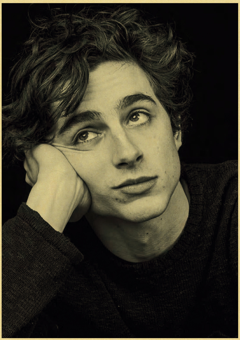 Timothee Chalamet 레트로 캔버스 회화 포 - Home Bar And Theater 리뷰 및 가격