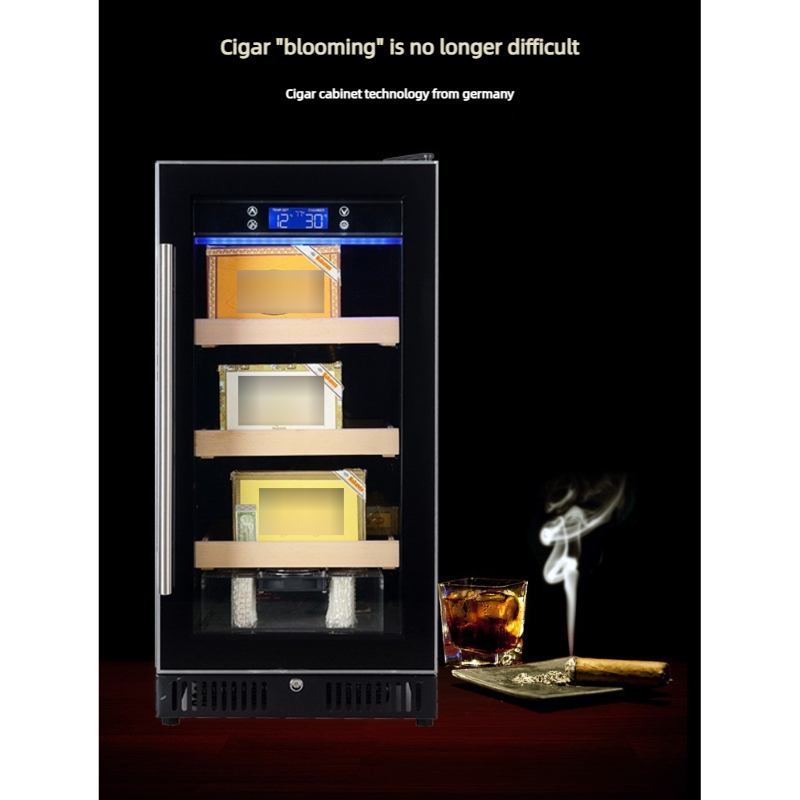 150-300 시가 휴미더 캐비닛 (컴프레서 냉각, 벌 - Home Bar And Cabinet 리뷰 및 가격