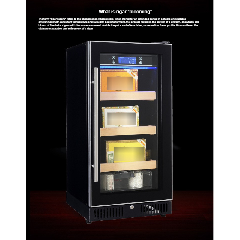 150-300 시가 휴미더 캐비닛 (컴프레서 냉각, 벌 - Home Bar And Cabinet 리뷰 및 가격